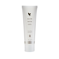 Aloe MSM Gel